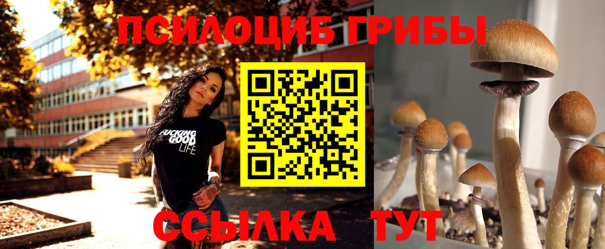 Меф МЯУ МЯУ кристаллы  ГАШИШ  Муравленко  Вход с VPN  Каннабис  ЭКСТАЗИ 